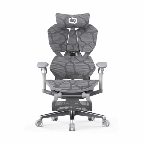 CHAISE XALLKING X5PRO-402-JT GRIS