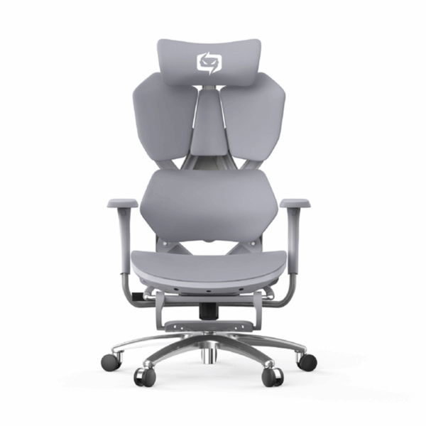 CHAISE XALLKING X5S-602-JT GRIS